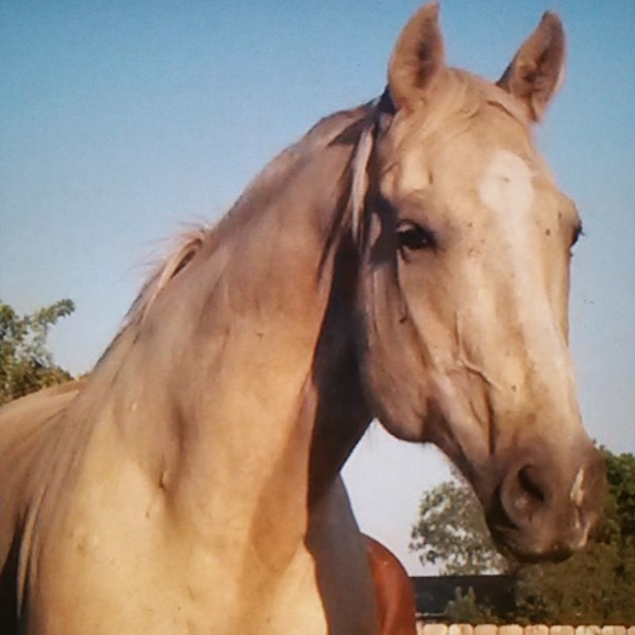 Meet your Posher, Jana - Picture 2 of 5